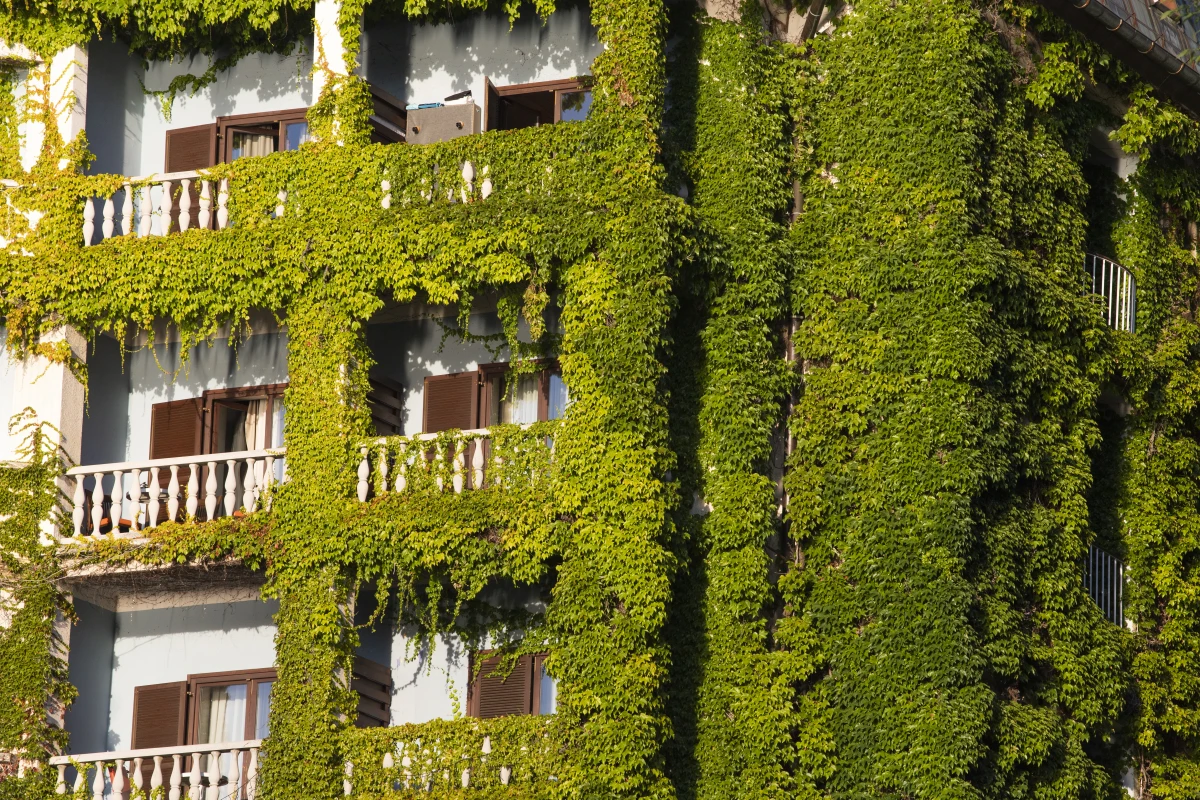 La Révolution Verte du Bâtiment : L'Essor des Normes Éco-Responsables